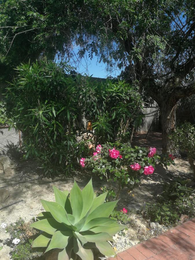 Finca San Diego, Villa Entera Para Ti Vallonga Ngoại thất bức ảnh